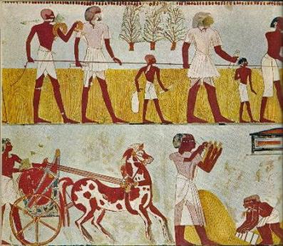 Landvermessung im alten gypten